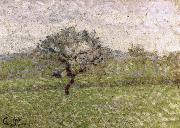 Camille Pissarro Apple oil painting reproduction
